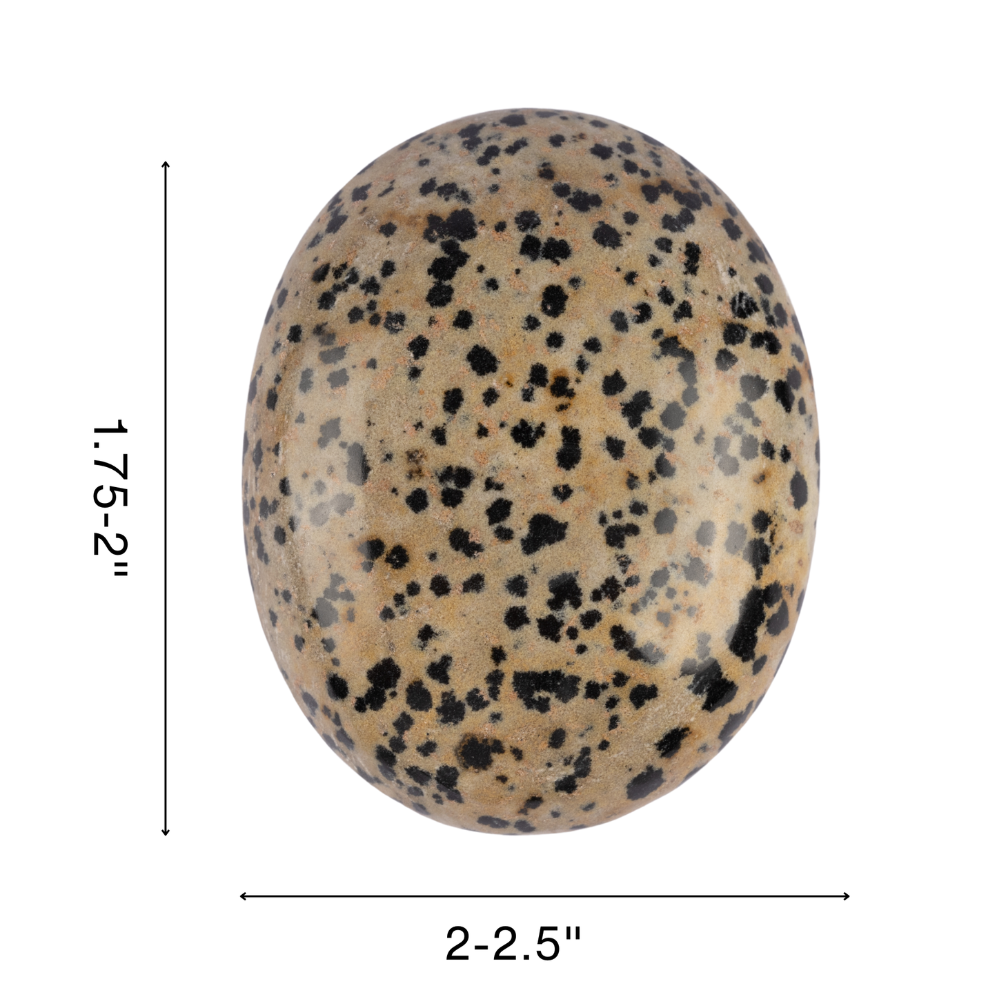 Dalmatian Jasper Palm Stone, Polished Crystal Stone for Chakra Balancing, Meditation, Spiritual and Crystal Gift