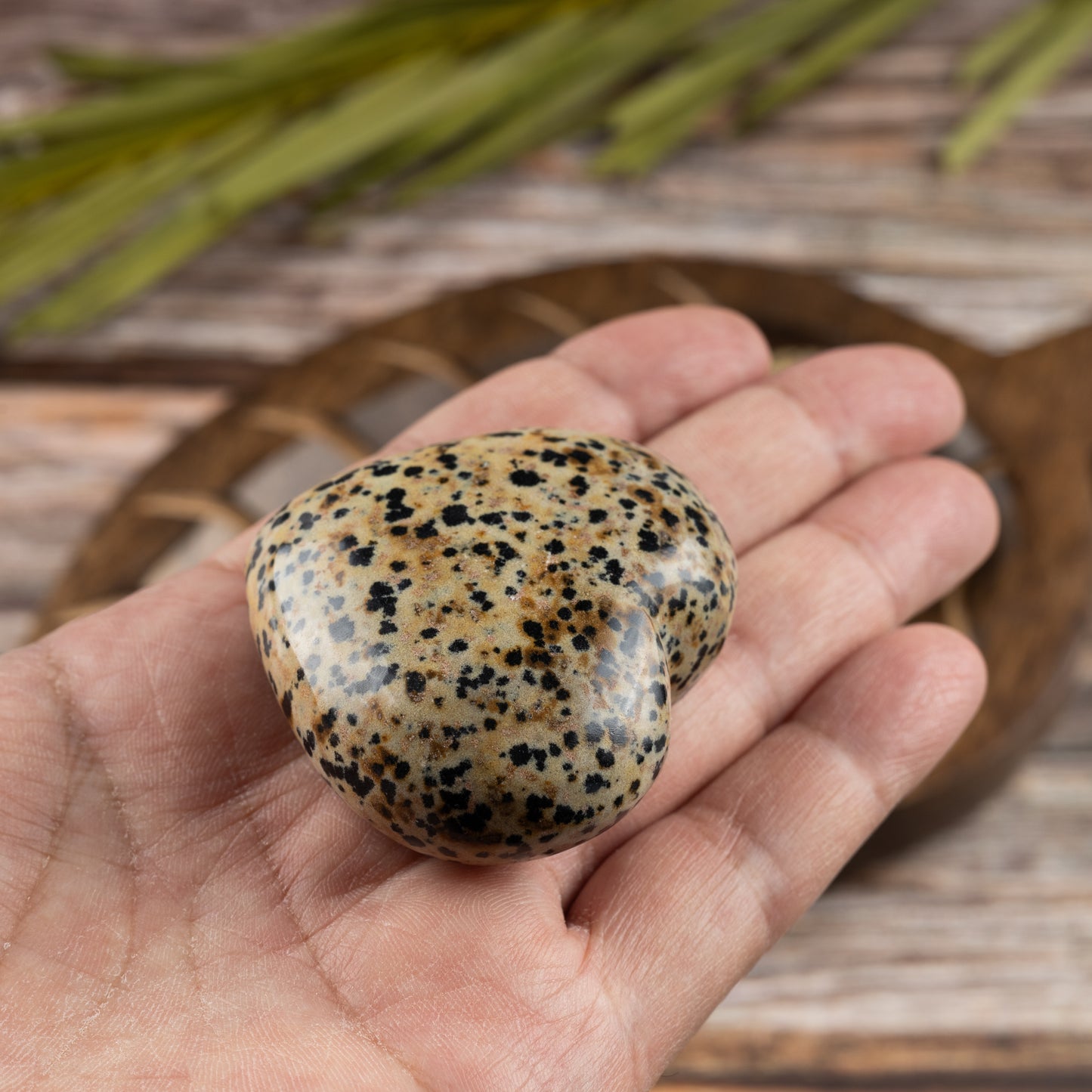 Dalmatian Jasper Heart Palm Stone, Polished Crystal Stone for Chakra Balancing, Meditation, Spiritual and Crystal Gift