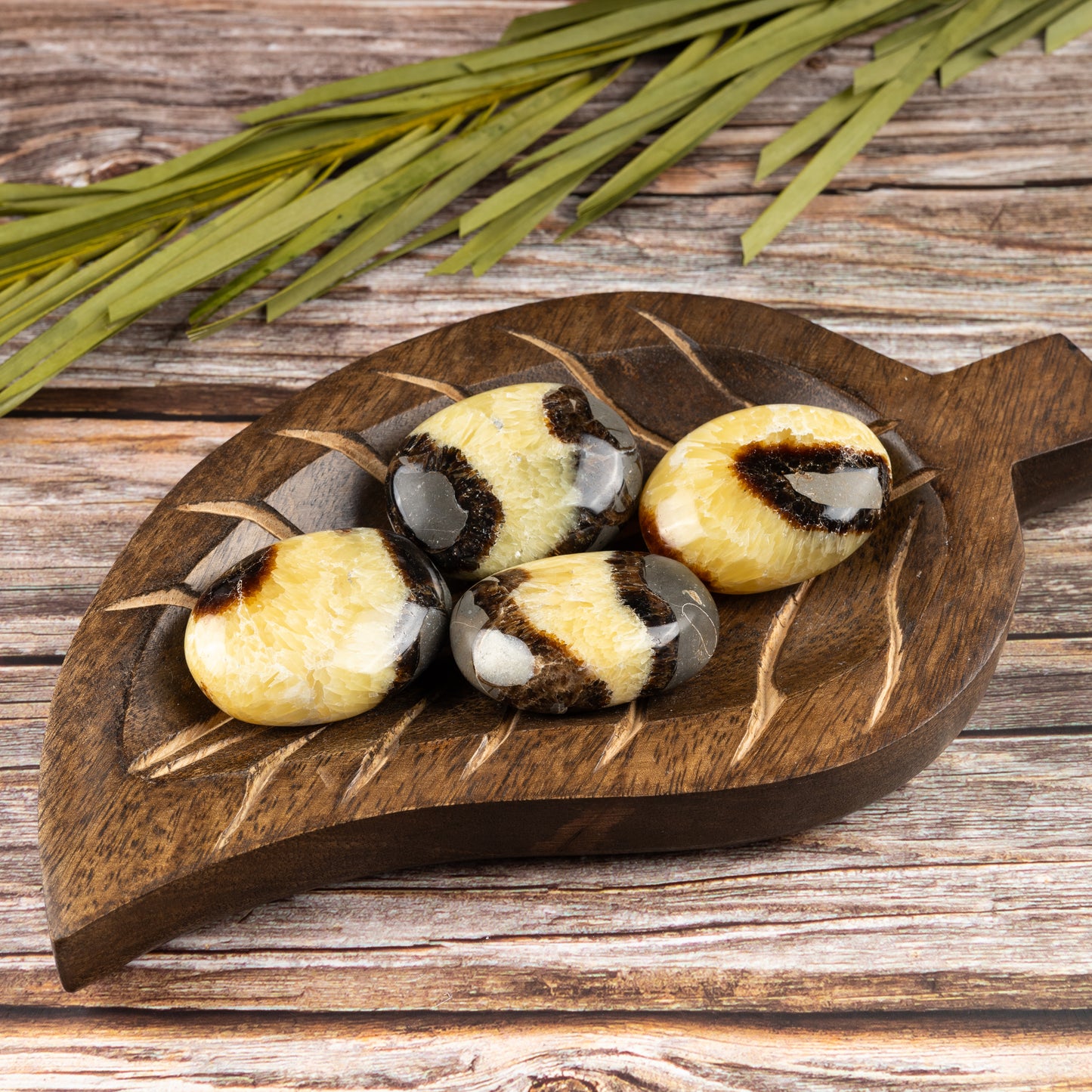 Septarian Palm Stone, Polished Crystal Stone for Chakra Balancing, Meditation, Spiritual and Crystal Gift