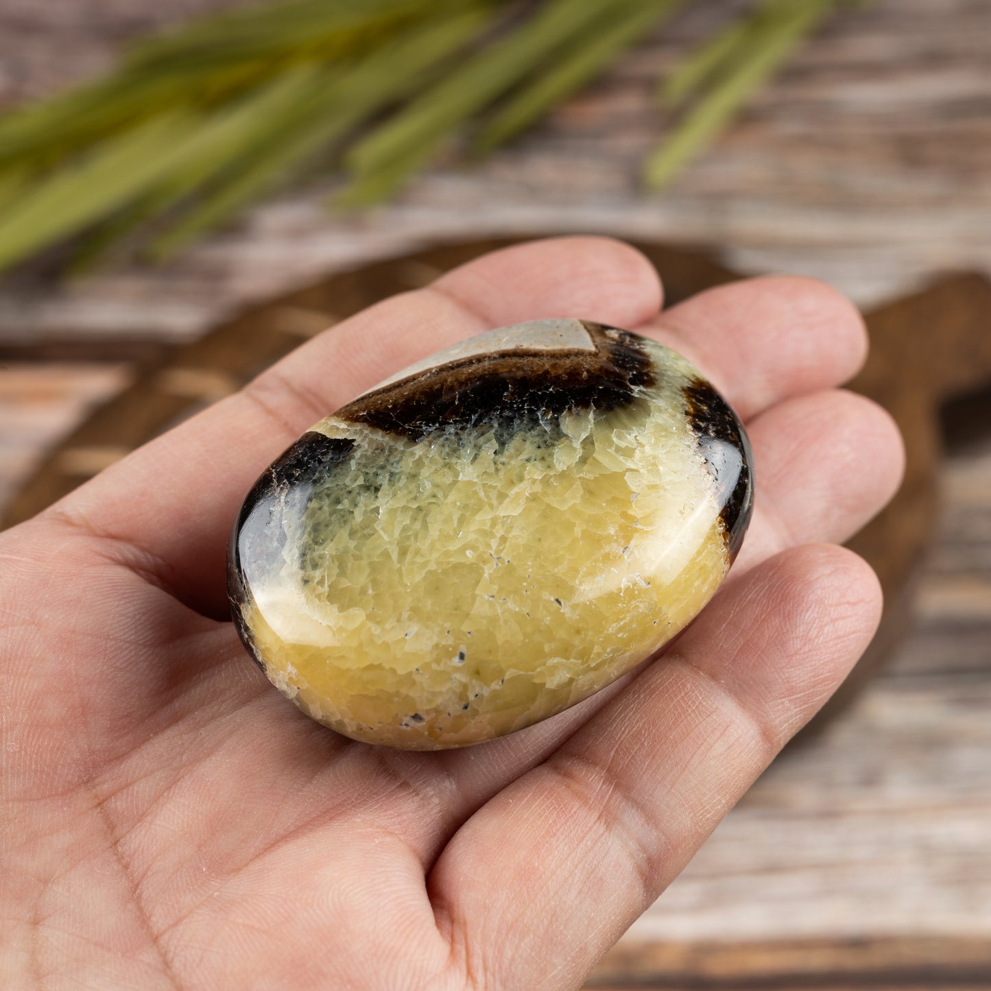 Septarian Palm Stone, Polished Crystal Stone for Chakra Balancing, Meditation, Spiritual and Crystal Gift