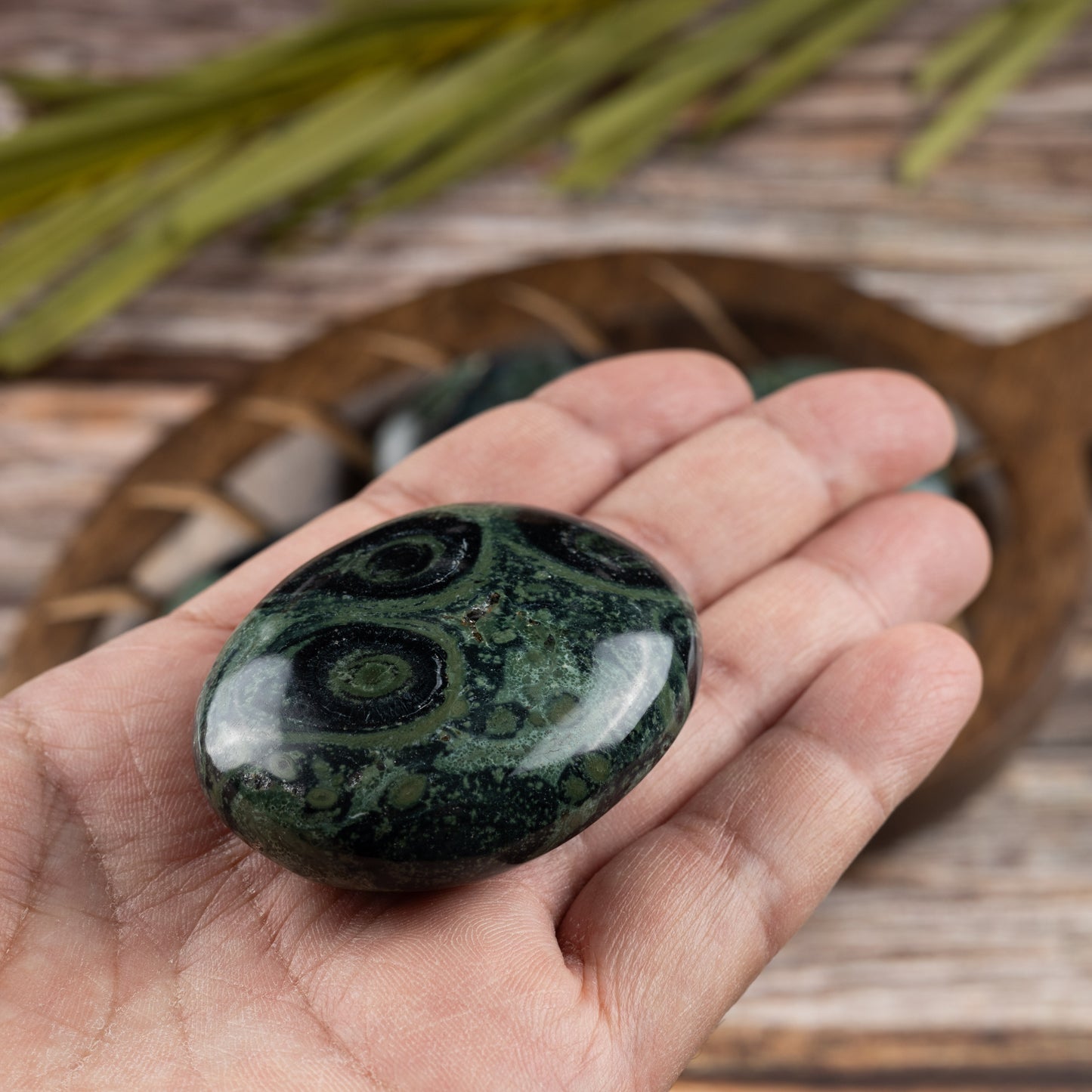 Kambaba Jasper Palm Stone, Polished Crystal Stone for Chakra Balancing, Meditation, Spiritual and Crystal Gift