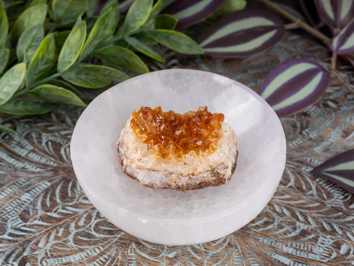 Citrine Cluster Crystal Specimen, Natural Quartz Formation, Raw Golden Crystal Druze Points, Mineral Decor, Meditation Healing Stone Display