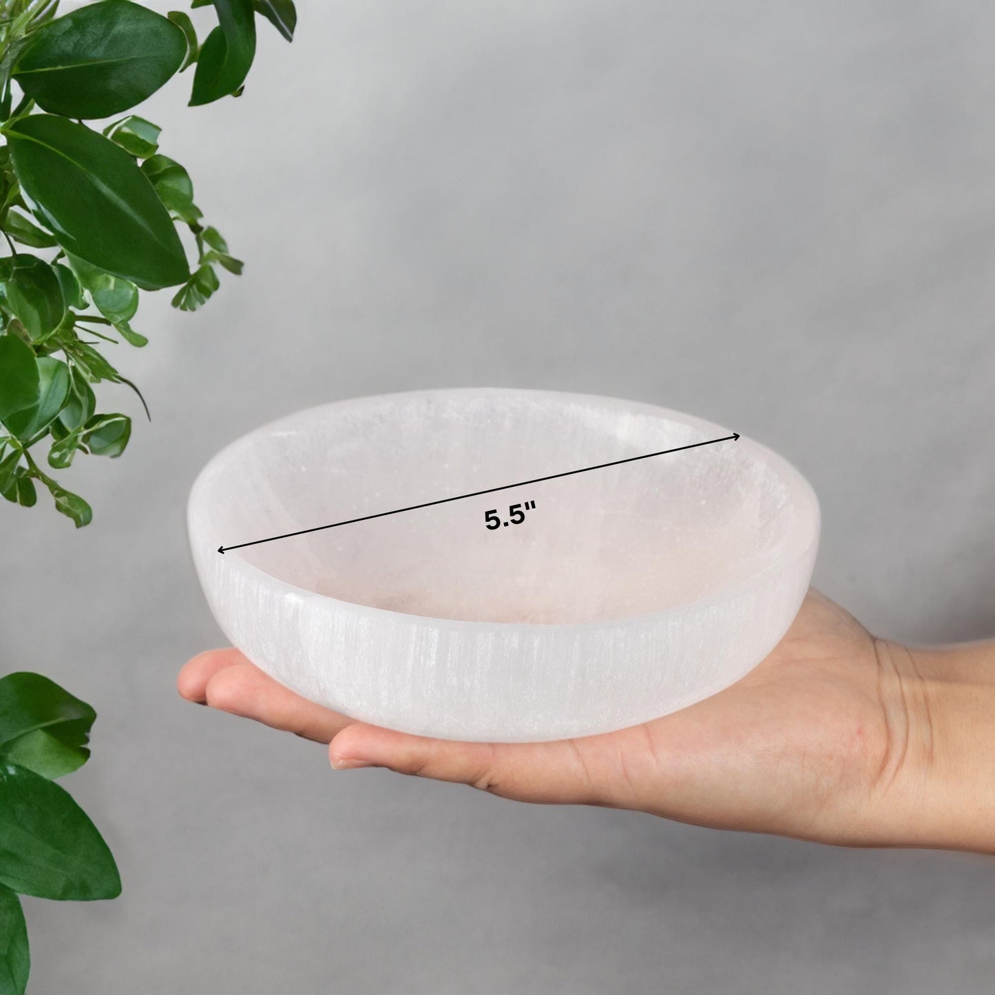 Selenite Charging Bowl, Four Sizes 2.25", 4", 5.5", & 7.5", Selenite Crystal, Meditation Bowl, Reiki, Jewelry Holder, Cleansing Bowl