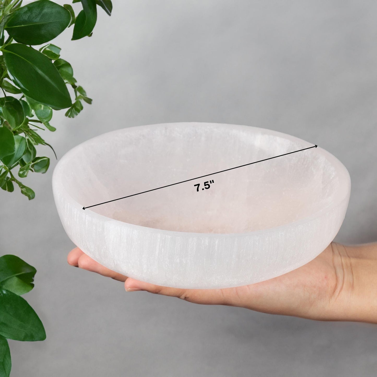Selenite Charging Bowl, Four Sizes 2.25", 4", 5.5", & 7.5", Selenite Crystal, Meditation Bowl, Reiki, Jewelry Holder, Cleansing Bowl