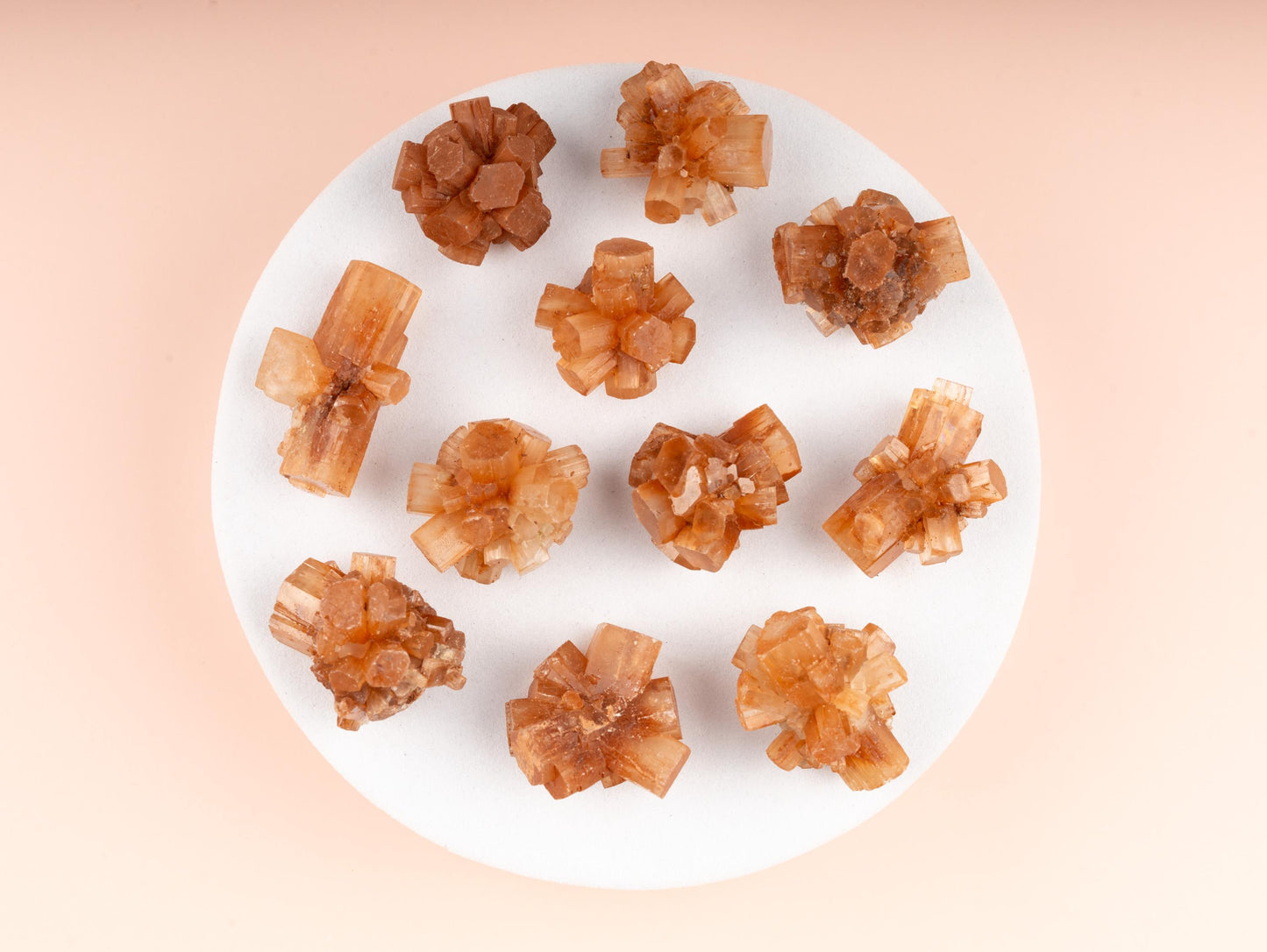 Mini Argonite Star Cluster 0.75-1.5", Natural Raw Healing Crystals for Grounding, Protection, Meditation, Crystal Decor, Chakra Healing
