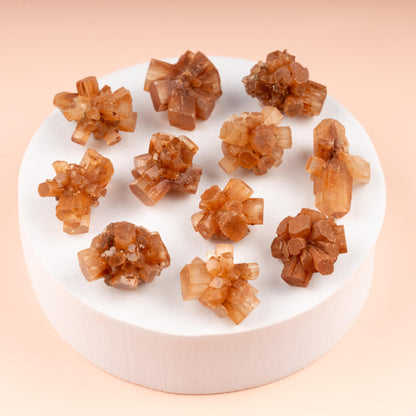 Mini Argonite Star Cluster 0.75-1.5", Natural Raw Healing Crystals for Grounding, Protection, Meditation, Crystal Decor, Chakra Healing