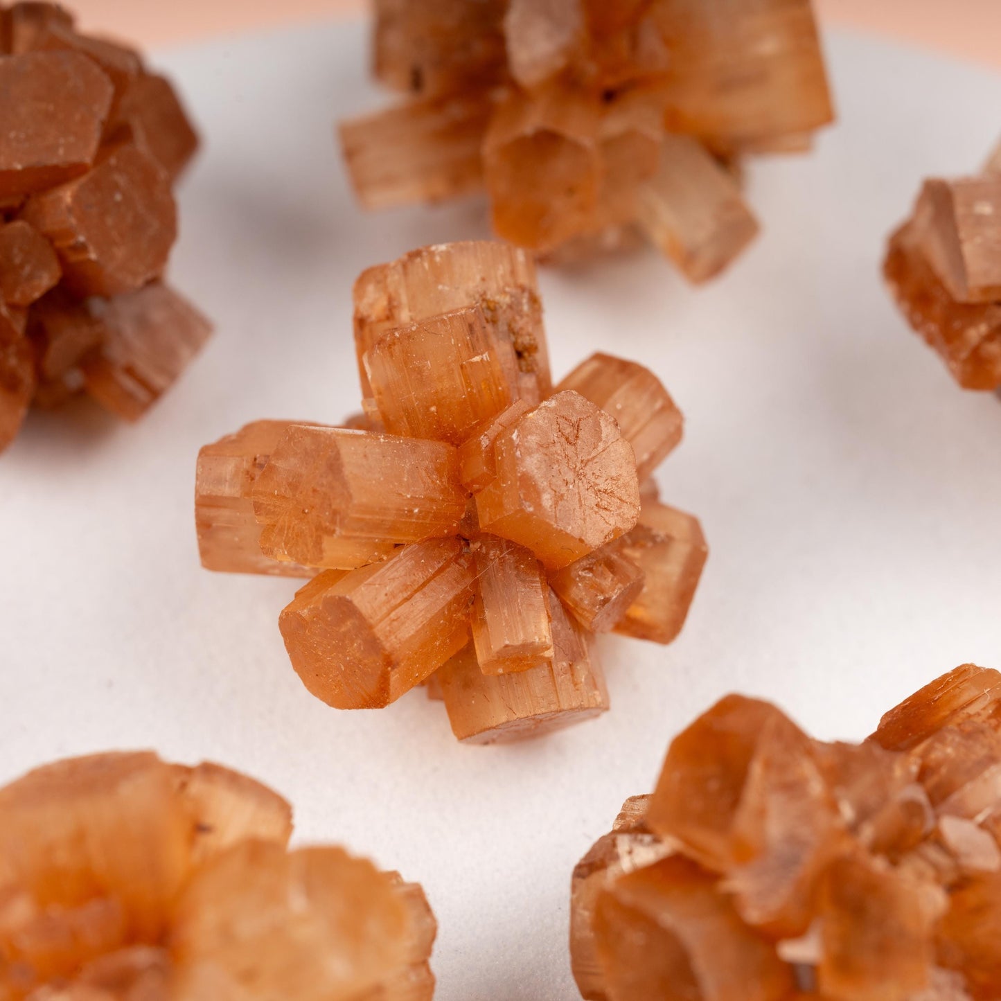 Mini Argonite Star Cluster 0.75-1.5", Natural Raw Healing Crystals for Grounding, Protection, Meditation, Crystal Decor, Chakra Healing