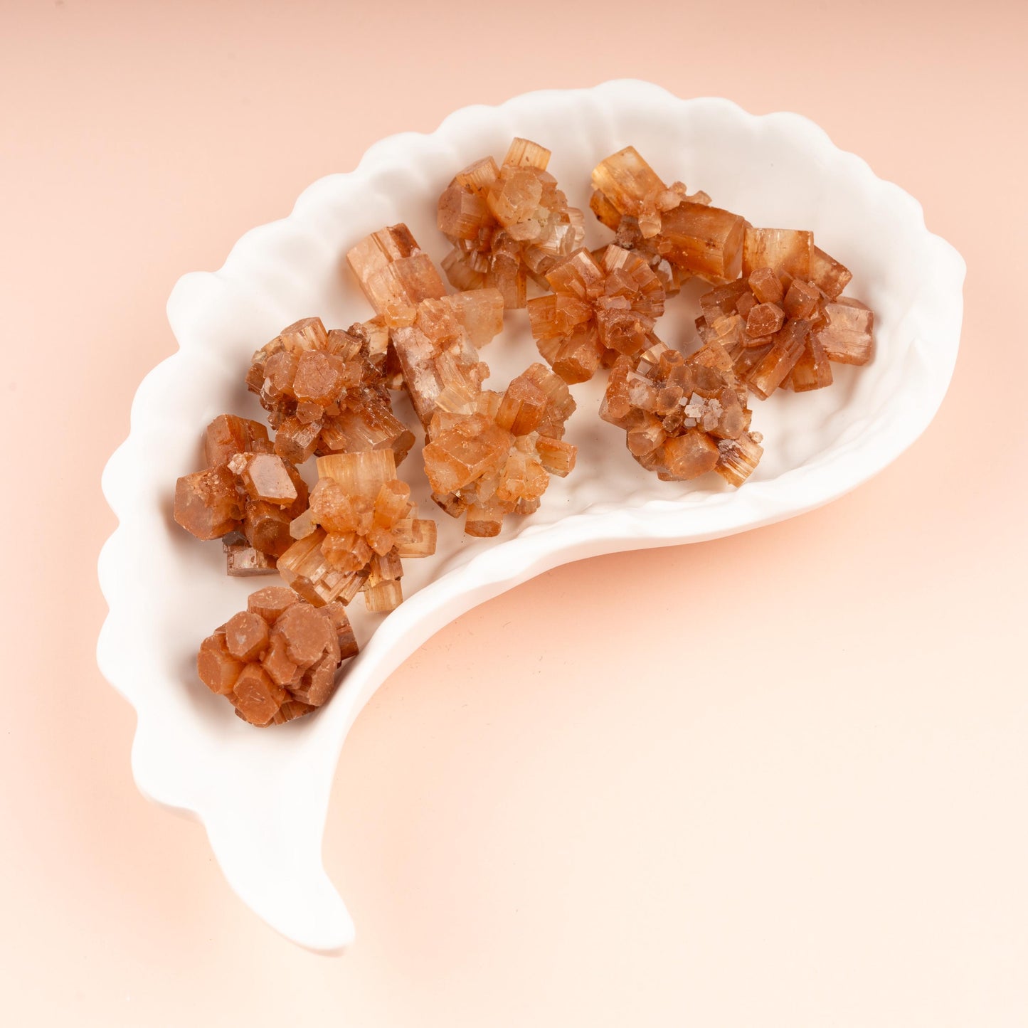 Mini Argonite Star Cluster 0.75-1.5", Natural Raw Healing Crystals for Grounding, Protection, Meditation, Crystal Decor, Chakra Healing