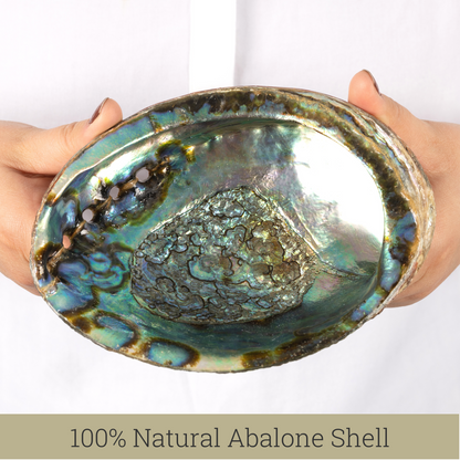 Natural Abalone Shell 5.5-6 Inch Large with Wooden Stand - Incense Holder and Sage Smudge Bowl for Cleansing, Smudging, and Meditation - Palo Santo Holder & Beautiful Home Decor