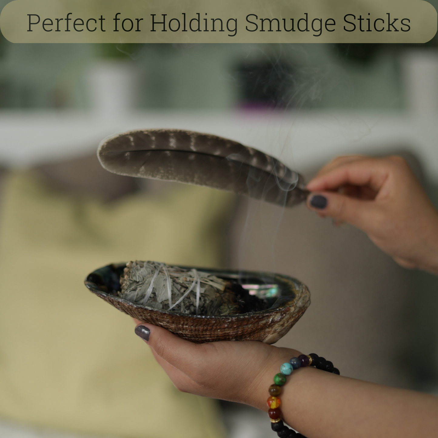 Natural Abalone Shell 6-6.5 Inch Large with Wooden Stand - Incense Holder and Sage Smudge Bowl for Cleansing, Smudging, and Meditation - Palo Santo Holder & Beautiful Home Decor