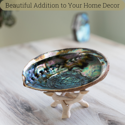 Natural Abalone Shell 6.5-7 Inch Large with Wooden Stand - Incense Holder and Sage Smudge Bowl for Cleansing, Smudging, and Meditation - Palo Santo Holder & Beautiful Home Decor