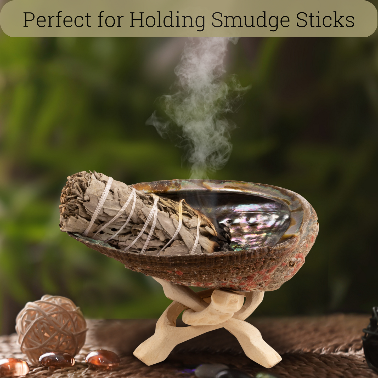 Natural Abalone Shell 5.5-6 Inch Large with Wooden Stand - Incense Holder and Sage Smudge Bowl for Cleansing, Smudging, and Meditation - Palo Santo Holder & Beautiful Home Decor