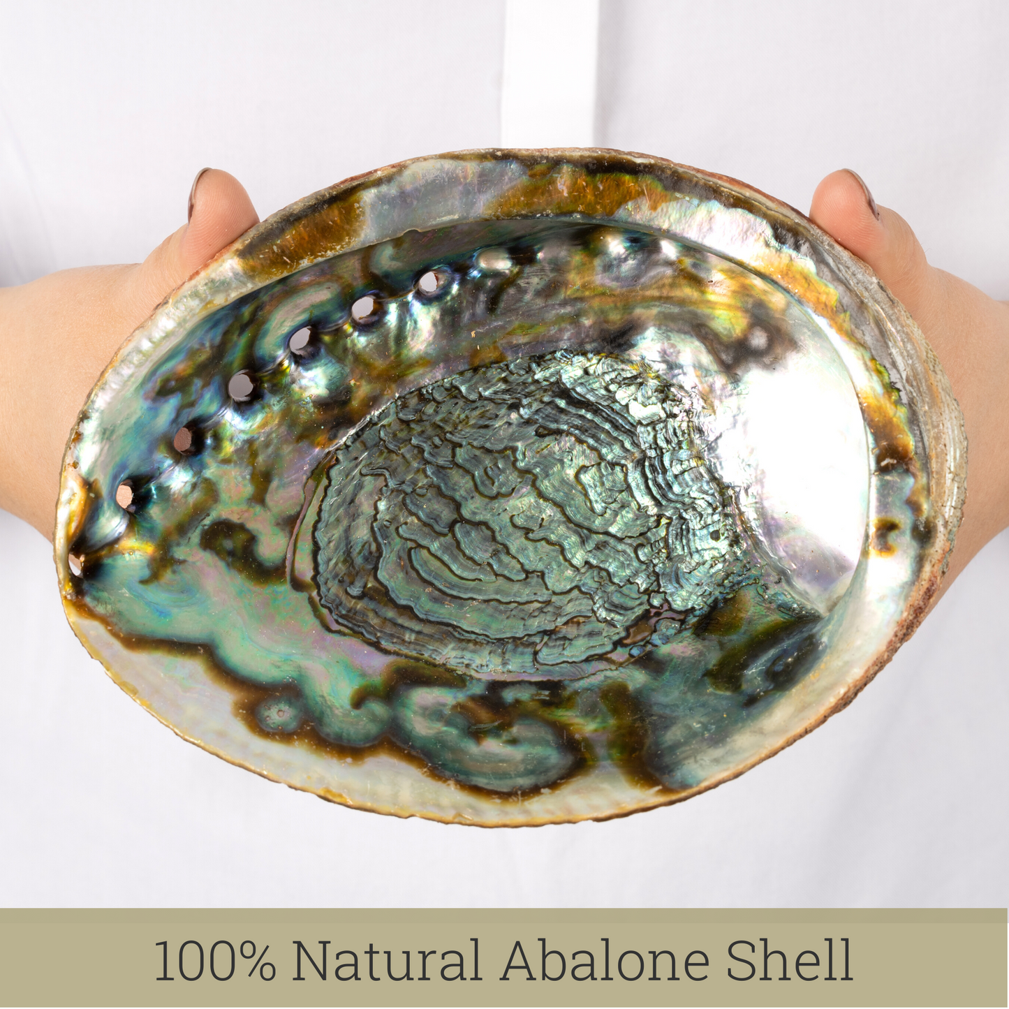 Natural Abalone Shell 6.5-7 Inch Large with Wooden Stand - Incense Holder and Sage Smudge Bowl for Cleansing, Smudging, and Meditation - Palo Santo Holder & Beautiful Home Decor