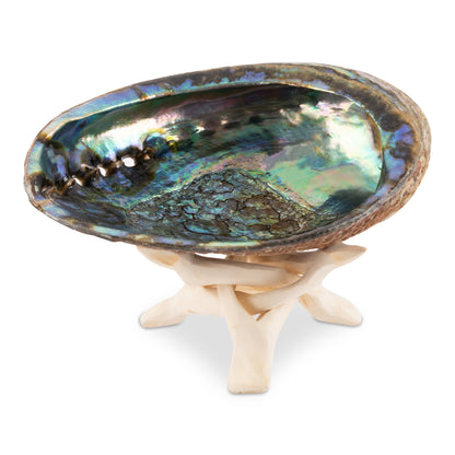 Natural Abalone Shell 5.5-6 Inch Large with Wooden Stand - Incense Holder and Sage Smudge Bowl for Cleansing, Smudging, and Meditation - Palo Santo Holder & Beautiful Home Decor