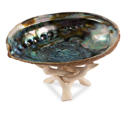 Natural Abalone Shell 6-6.5 Inch Large with Wooden Stand - Incense Holder and Sage Smudge Bowl for Cleansing, Smudging, and Meditation - Palo Santo Holder & Beautiful Home Decor