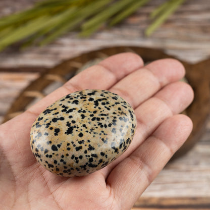 Dalmatian Jasper Palm Stone Crystal - Natural Healing Stone for Anxiety Relief & Meditation - Polished Dalmatian Jasper Worry Stone - Spiritual Gift