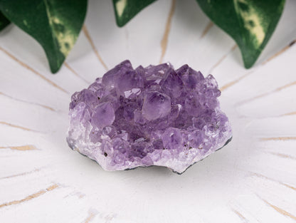 Amethyst Cluster Crystals and Healing Stones - Enhance Your Meditation, Balance Chakras, and Elevate Your Space with Crystal Decor- Ideal Spiritual Gift, Reiki Supplies, and Meditation Companion