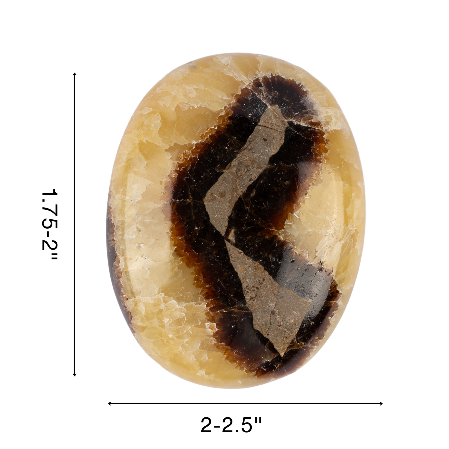 Septarian Palm Stone Crystal - Natural Healing Stone for Anxiety Relief & Meditation - Polished Septarian Worry Stone - Spiritual Gift