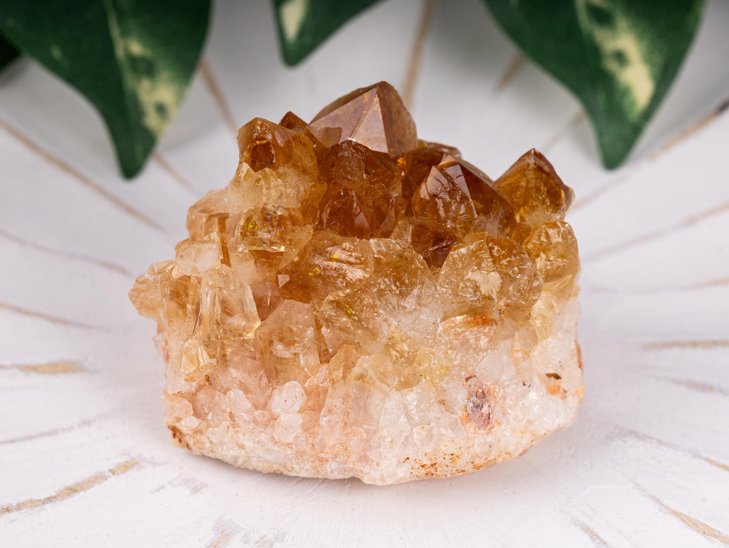 Citrine Cluster Crystal Specimen, Natural Quartz Formation, Raw Golden Crystal Druze Points, Mineral Decor, Meditation Healing Stone Display