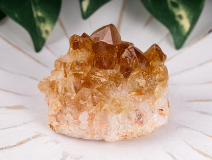 Citrine Cluster Crystal Specimen, Natural Quartz Formation, Raw Golden Crystal Druze Points, Mineral Decor, Meditation Healing Stone Display