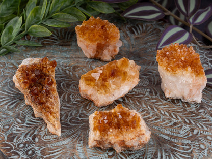 Citrine Cluster Crystal Specimen, Natural Quartz Formation, Raw Golden Crystal Druze Points, Mineral Decor, Meditation Healing Stone Display