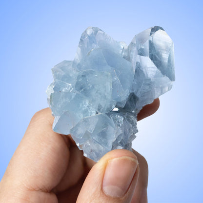 Natural Celestite Crystal Cluster, Raw Blue Celestite Stone, Mineral Specimen, Crystal Decor, Crystal Lovers Gift, Multiple Sizes Available