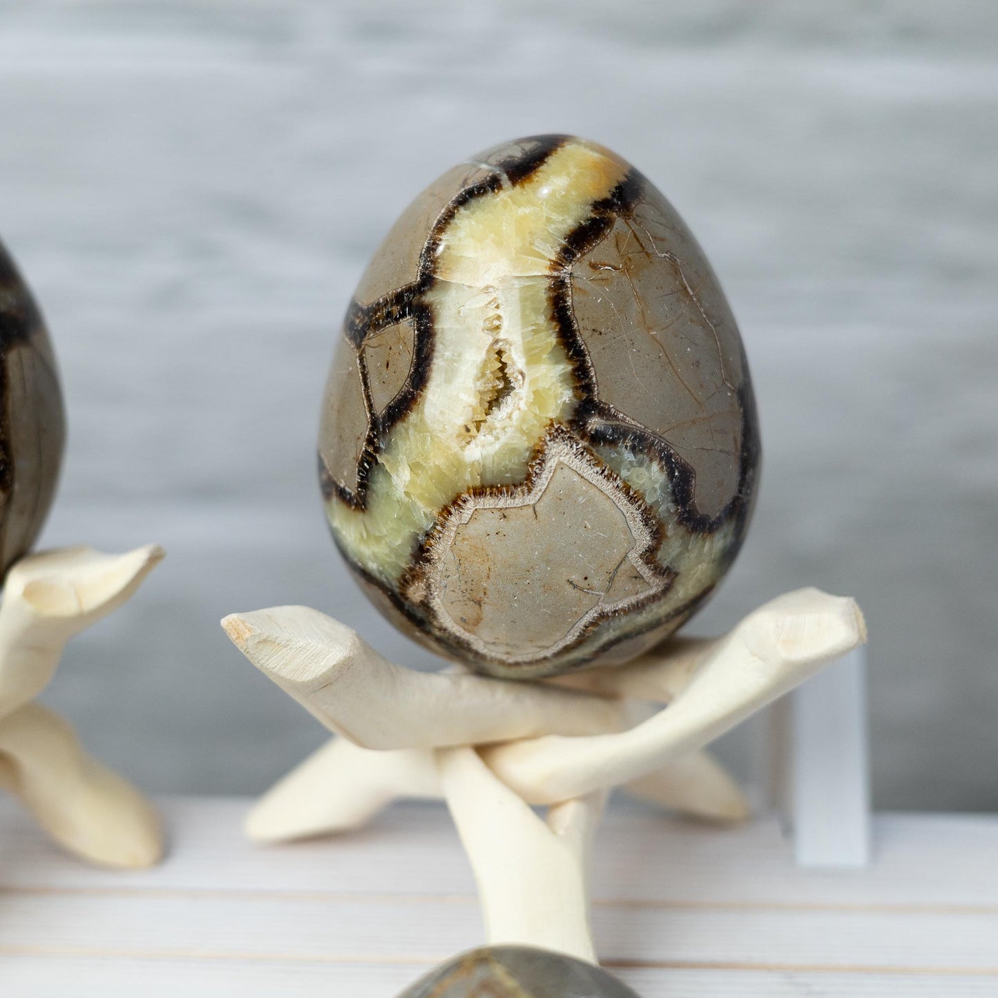 Septarian Egg with Stand, Natural Septarian Crystal Egg, Polished Stone Specimen, Crystal Decor, Crystal Gift
