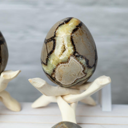 Septarian Egg with Stand, Natural Septarian Crystal Egg, Polished Stone Specimen, Crystal Decor, Crystal Gift