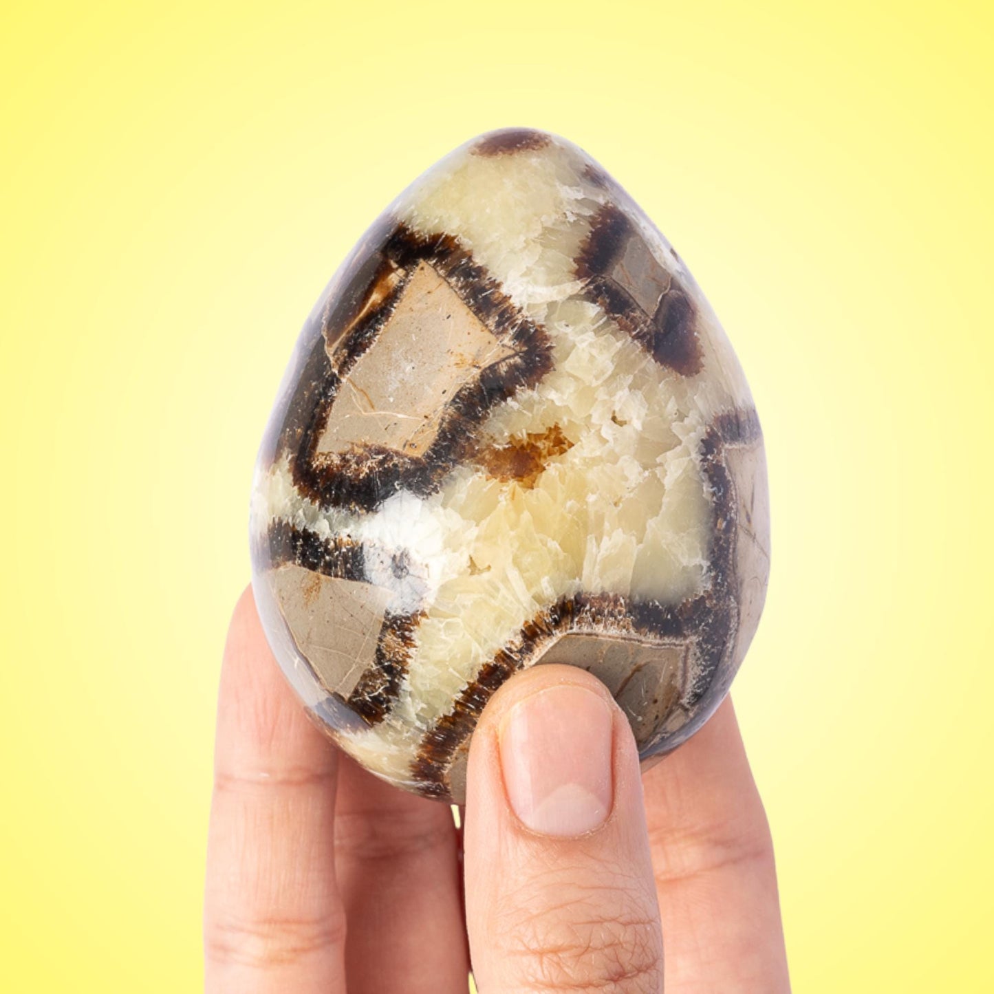 Septarian Egg with Stand, Natural Septarian Crystal Egg, Polished Stone Specimen, Crystal Decor, Crystal Gift