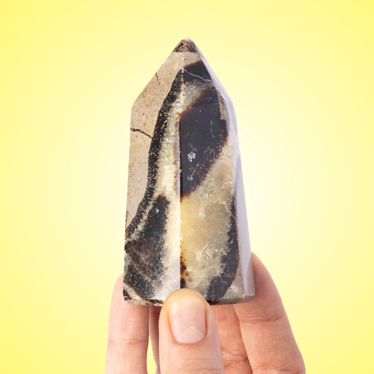 Large Septarian Point Tower, Polished Septarian Crystal Point, Natural Stone Specimen, Crystal Decor & Gift, Choose Size