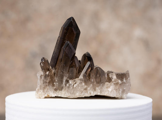 Smoky Quartz Crystal Cluster, Natural Smoky Quartz Point, Rough Quartz Specimen, Raw Crystal Decor, Crystal Gift, Choose Size
