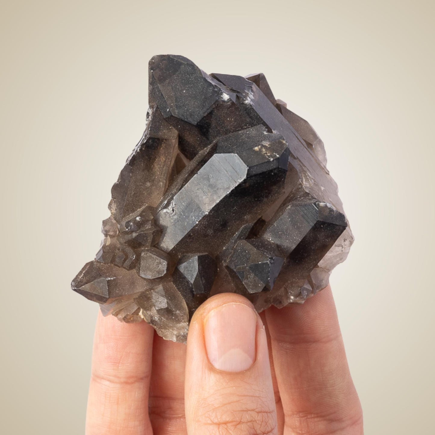 Smoky Quartz Crystal Cluster, Natural Smoky Quartz Point, Rough Quartz Specimen, Raw Crystal Decor, Crystal Gift, Choose Size