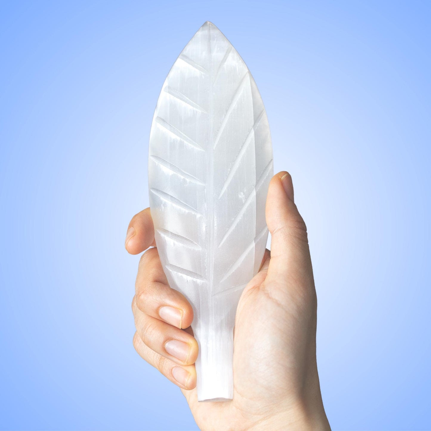 Selenite Crystal Leaf, Selenite Wand, Natural Crystal Decor, Craft Supply, Crystal Gift, 7.75 Inch