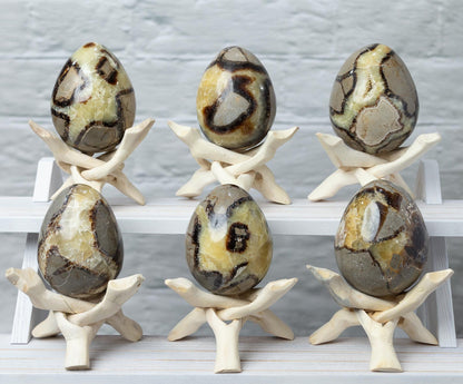 Septarian Egg with Stand, Natural Septarian Crystal Egg, Polished Stone Specimen, Crystal Decor, Crystal Gift
