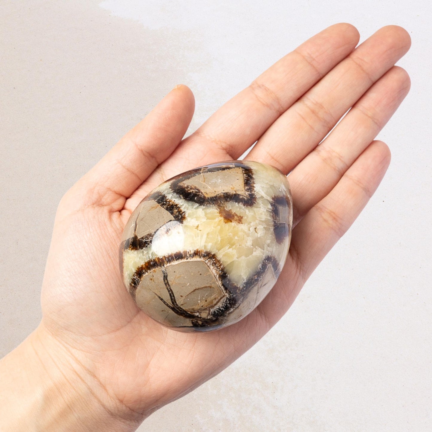 Septarian Egg with Stand, Natural Septarian Crystal Egg, Polished Stone Specimen, Crystal Decor, Crystal Gift