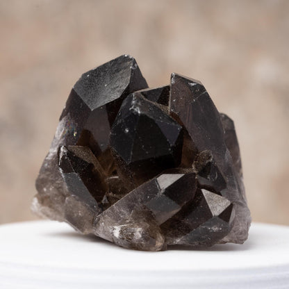 Smoky Quartz Crystal Cluster, Natural Smoky Quartz Point, Rough Quartz Specimen, Raw Crystal Decor, Crystal Gift, Choose Size