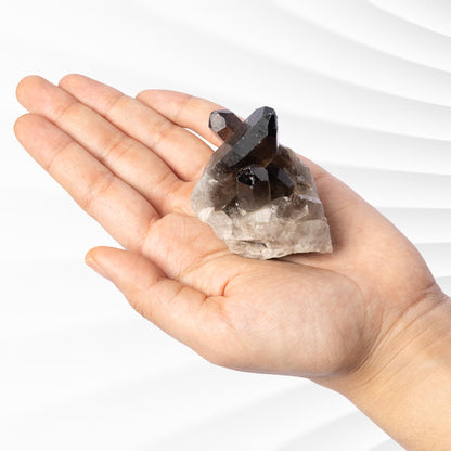 Smoky Quartz Crystal Cluster, Natural Smoky Quartz Point, Rough Quartz Specimen, Raw Crystal Decor, Crystal Gift, Choose Size