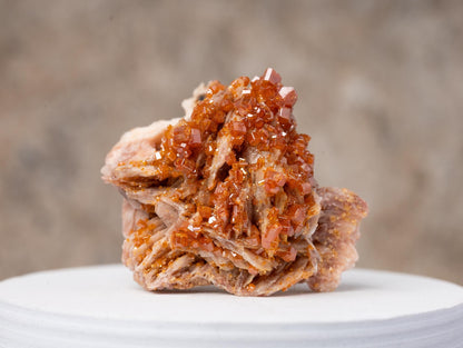 Vanadinite on Barite Crystal Specimen, Natural Mineral Cluster for Display, Red Hexagonal Crystals on White Matrix, Crystal Decor & Gift