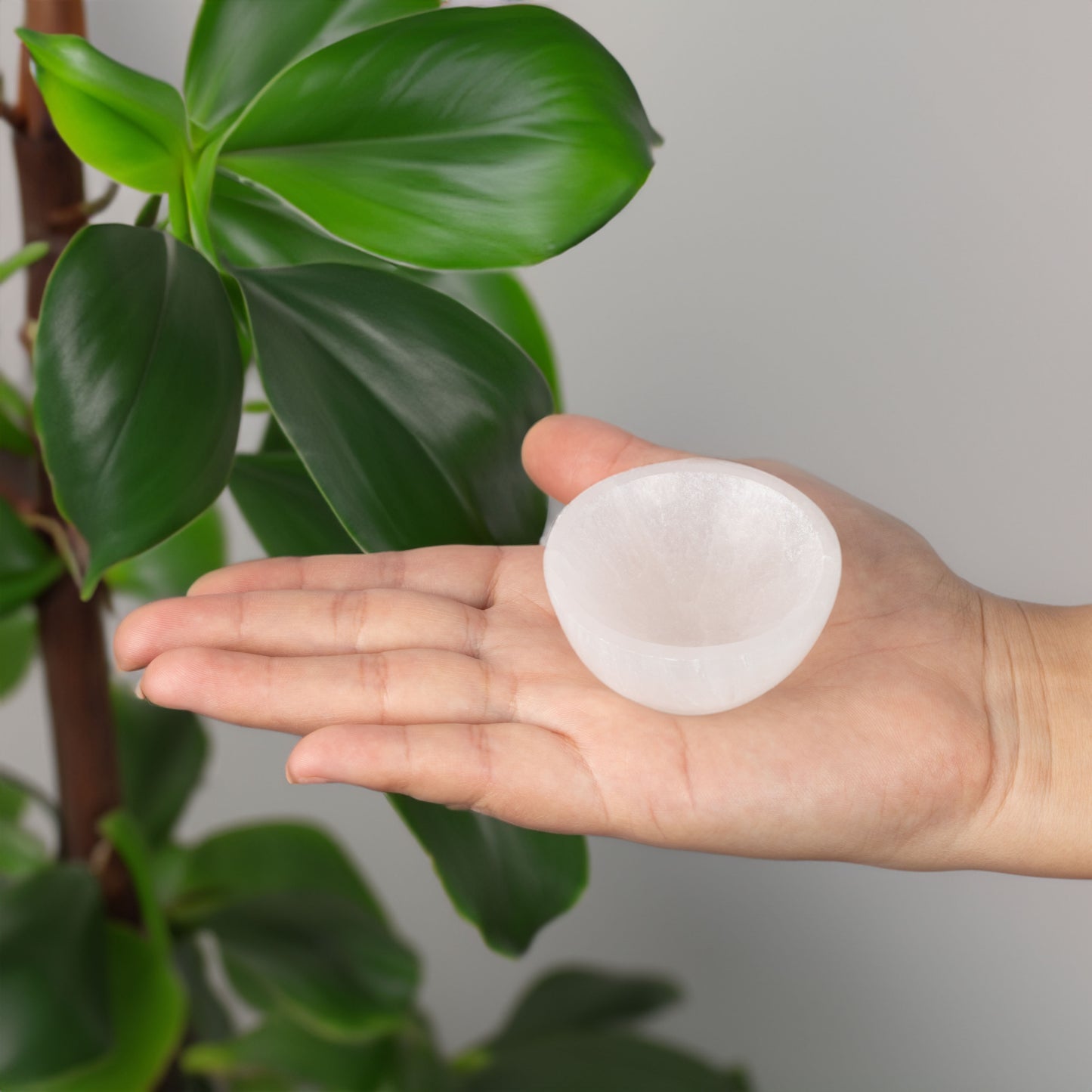 2.25" Mini Selenite Charging Bowl, Selenite Crystal, Meditation Bowl, Reiki Bowl, Jewelry Holder, Ideal for Small Crystal Stones